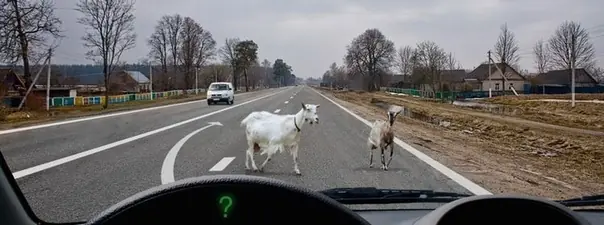 Иллюстрация к вопросу ПДД: 21