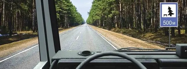 Иллюстрация к вопросу ПДД: 12